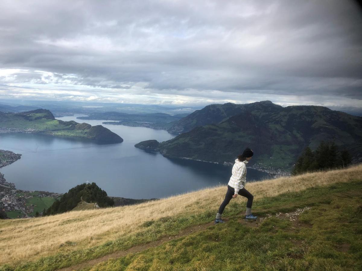 Ferienwohnungen Mit 4 Betten In Gersau Direkt Am Vierwaldstaettersee Экстерьер фото