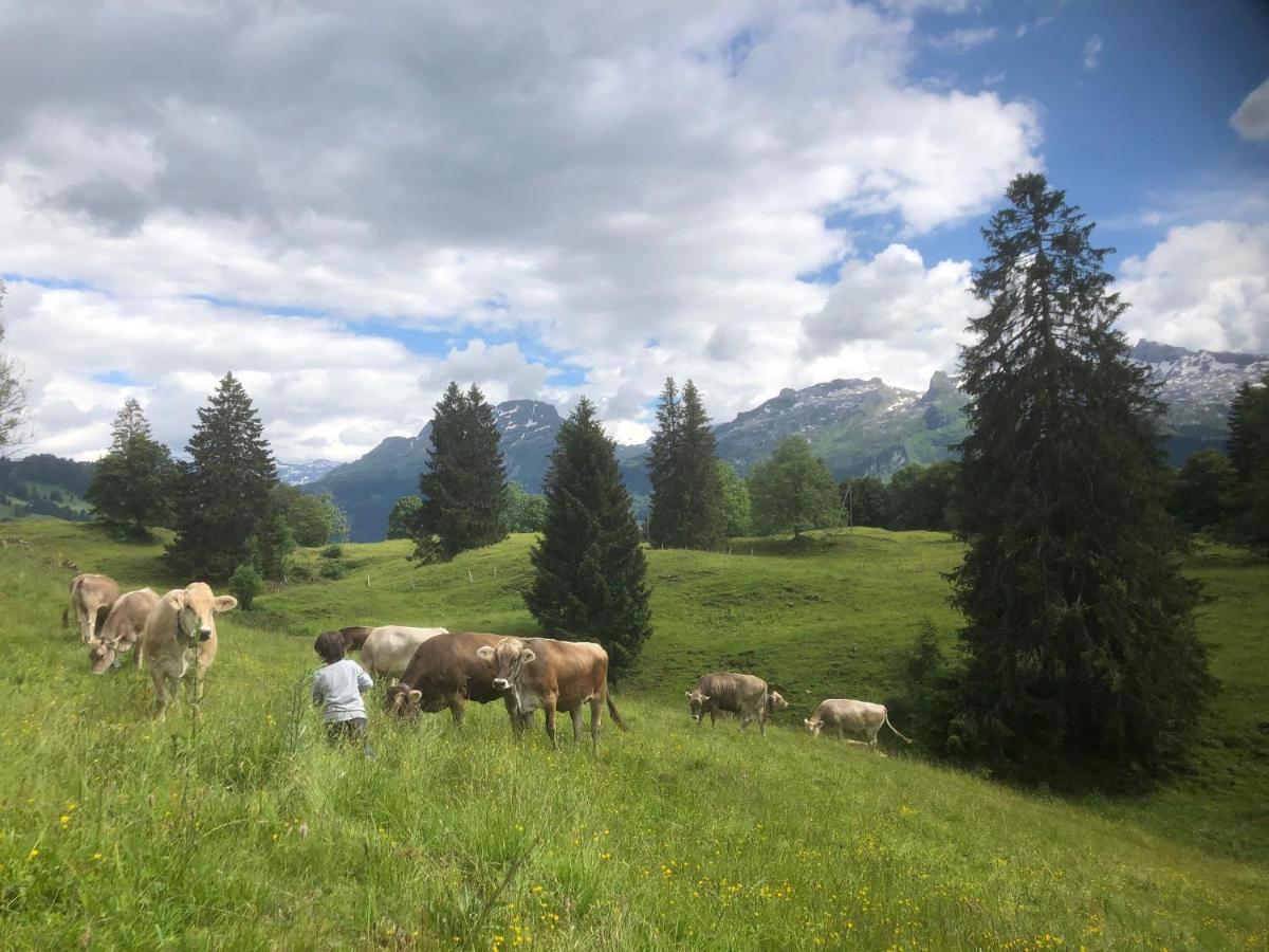 Ferienwohnungen Mit 4 Betten In Gersau Direkt Am Vierwaldstaettersee Экстерьер фото